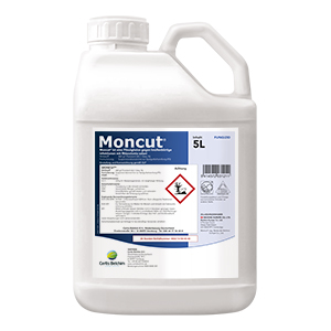 Moncut