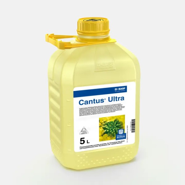 Cantus Ultra