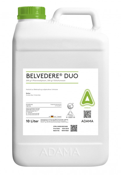 Belvedere Duo