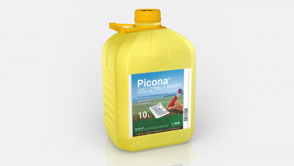 Picona