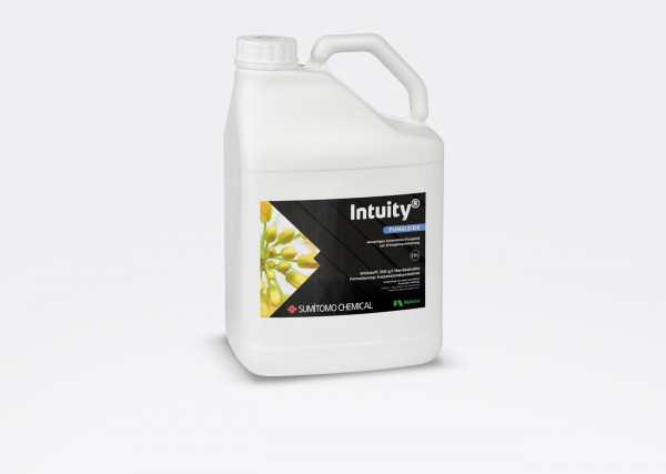 Intuity (10l)